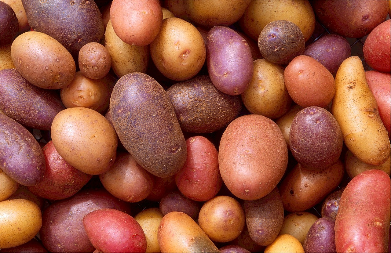 Edle Zutaten - Raritäten-Kartoffeln